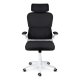 Sofotel Formax Ergonomic Mesh Office Chair, black