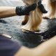 Grooming Kit Haircut Scissors for Dogs and Cats + Accessories