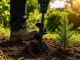 Garden Auger Drill Bit for Planting 30x8cm, Black