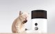 Petoneer NutriVue Smart Pet Feeder PF008 with 1080p Camera & App Control