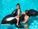 Bestway Jumbo Inflatable Whale Ride-On 41009, 203 x 102 cm
