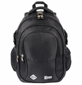 Shiny Snake 16 inch 4 Compartment Youth School Backpack