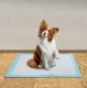 Absorbent Puppy Training Pads 33 x 45 cm, 100 pcs + Waste Bags
