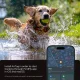 Spigen Tough Armor AirTag Pet Collar Case - Black