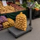 Platform Scale with LCD Display, 100kg, Grey