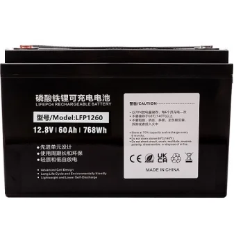 LiFePO4 Lithium Iron Phosphate Battery 12.8V 60Ah 768Wh, Black
