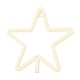 Светодиодный неон Звезда CHRISTMAS Forever Light FLNE22, теплый белый
