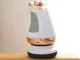 Body Massager for Slimming and Cellulite Reduction, 5 Attachments