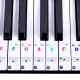 Stickers of notes on keys for learning to play