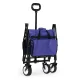 Multigarden TC-005 BLUE Folding Garden and Beach Cart 48x90 cm, Blue