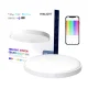 Yeelight Arwen Ceiling Light 450S Smart LED Lamp