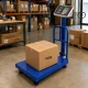 Electronic Platform Scale with Backrest, 100kg, LCD, Blue
