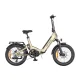 Folding Electric Bike ENGWE L20 3.0 Pro 250W 20\", Gold