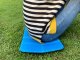 Folding Foam Sitting Mat for Camping, Hiking and Backpacking, Blue