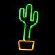 LED Neon Light Cactus Forever Light, Orange and Green FLNE02