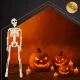 Ruhhy 40cm Posable Skeleton for Halloween, White