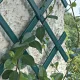 TENAX TREPLAS Decorative Adaptable Trellis, Green, 1 x 1 m