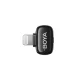 BOYA mini 2-01 2.4GHz Wireless Microphones USB-C, Black