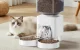 Rojeco RWSQMFWFO-SP 4.5L Automatic Pet Feeder WiFi Version with 2 Bowls