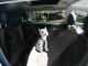 Car Seat Cover Carpet for Dogs, Black
