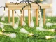 Solar garden LED string lights with 20 icicle bulbs, warm white