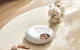 Rojeco RWSQ-07 Automatic Pet Feeder 6 Meals