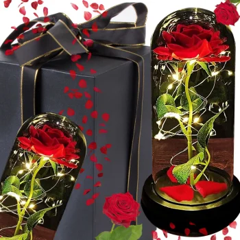 Eternal Rose in Glass Dome with LED Lights, Enchanted Forever Rose Gift for Her, Red