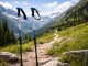 Verk Group Silver Nordic Walking and Trekking Poles with Tips and Bag