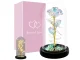 Eternal Rose in Glass Dome with LED Light and Gift Box