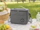 Thermal Lunch and Picnic Bag, Grey
