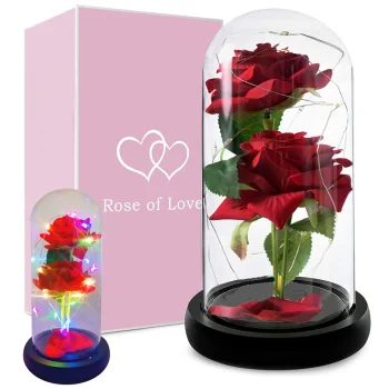 Eternal Rose in Glass Dome with LED RGB Light (Two Roses), Red