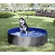 Purlov Foldable Dog Pool 100x30 cm, Blue/Grey