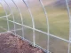 Greenhouse KLASIKA TUBE 3x8m (24m2) with Foundation and 4mm Polycarbonate