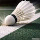 Feather Badminton Shuttlecocks, 3 Pack, White