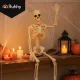 Ruhhy 40cm Posable Skeleton for Halloween, White