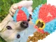 Interactive Dog Treat Ball Food Dispenser and Chew Toy
