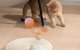 Rojeco Interactive Cat Ball RWJ-12, Orange