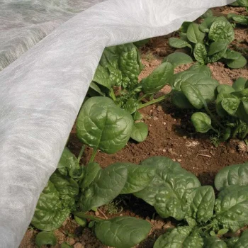 Crop Cover Fleece ORTOCLIMA 17 g/m², 1.60 x 5 m, White
