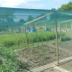 Anti-bird net TENAX ORTOFLEX 4x10m, mesh 10x12mm, green