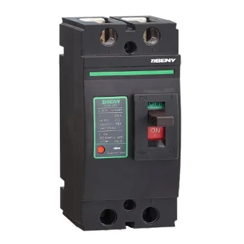 Molded Case DC Circuit Breaker 2P, 250A, 500VDC, Black