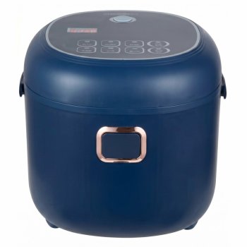 Car Multicooker and Rice Cooker 12V/24V 2L