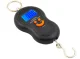 Digital Hanging Scale for Fishing & Luggage 50kg