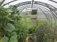 Greenhouse Klasika 18 (3X6M) With Bases And 4Mm Polycarbonate; 4779037490219