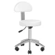 Sillon Lux 273b Electric Beauty Chair with 3 Motors and Stool 304, White