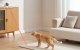 Automatic Cat Laser Toy Rojeco RWJDZ-02 1000mAh