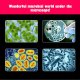 Microscope with up to 1200x Magnification with Accessories