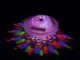 Bestway 58419 Floating LED Pool Light