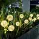 Solar Garden Light Forever Light SUNARI FLS-95 Ornamental Garlic 3000K 600mAh