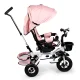 Ecotoys Delux Kids Tricycle with 360° Rotating Seat, Pink