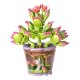 Iso Trade Building Blocks - Flowers, 172 pieces